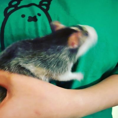 あきもとさんのプロフィール画像