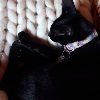 ssiadai's profile picture. 24