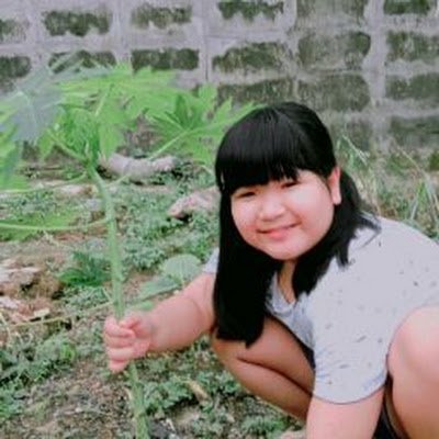 phachyaphannan1's profile picture. 