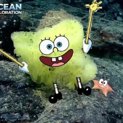 azuo02123's profile picture. New