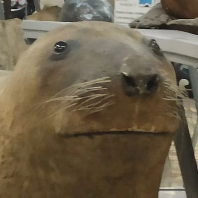 WerewhoMintさんのプロフィール画像