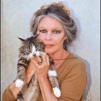 Valou 66 (@arrowcali55) 's Twitter Profile