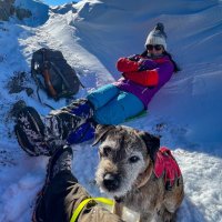 Jenny (@physiojen13) 's Twitter Profile