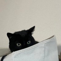 りーさん (@ngxutj47jkawglq) 's Twitter Profile