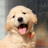 hnkr_B's profile image