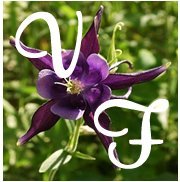 VirtuousFndtns's profile picture. There is no school equal to a decent home, and no teacher equal to a virtuous parent.