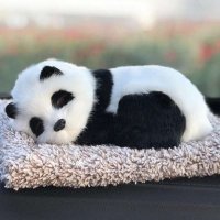 noname (@beruangdanpanda) 's Twitter Profile