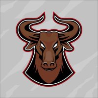 Crypto Bull's ®(@CryptoBulls34) 's Twitter Profile Photo