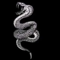 dmgRoleX (@dmgrolexe) 's Twitter Profile