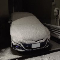 あさるかに (@a3ruka2) 's Twitter Profile