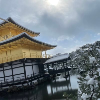 620740818's profile picture. 