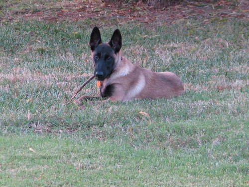 timmyhamm's profile picture. 