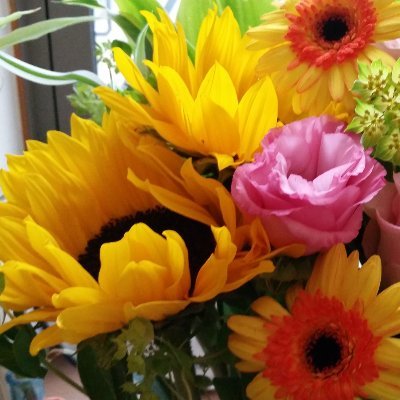 lFUqMEFOOwXF3C6's profile picture. FC創造すたじお　    #水上恒司　　　https://t.co/O10fzIlLHp
　@koshi_mizukami　　🎬  #たべっ子どうぶつ #九龍ジェネリックロマンス 
　#火喰鳥を喰う　 
 　#ウィンドブレイカー (12/5)#WOWOW怪物　#シナントロープ　(テレ東)放送中