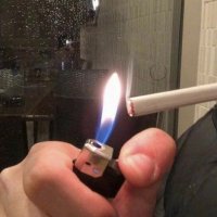 ⚓️ (@f337i) 's Twitter Profile