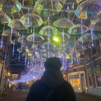 🇧🇪あゆむ🇧🇪 (@ayumu_0418) Twitter profile photo