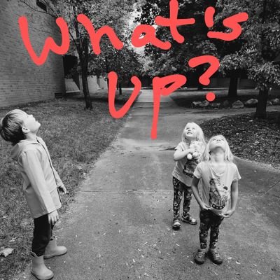 13linded's profile picture. 