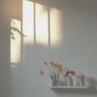Ppppp466148531's profile picture. 