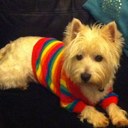 Lesley Reed - @moodybatch - Twitter