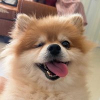 ลูกแก้วและหมาของเขา (@lookkaewlapp) 's Twitter Profile