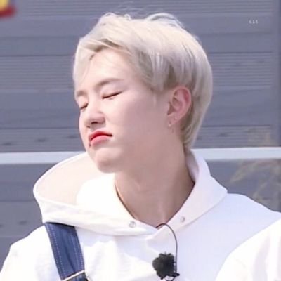 hamzihorangi's profile picture. 911 help me, Kwon Soonyoung is trying to kill me with his cuteness.