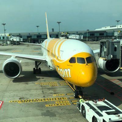 Air_1239's profile picture. ウマときどき飛行機🐎&✈️ たまに競馬場グルメ😋✨
