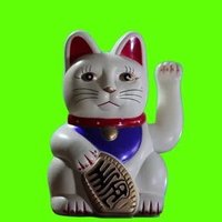 Mai Treyee (@touchwood777) 's Twitter Profile