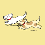 HealthyDogsPlus's profile picture. Dog Health Tips, Fleas and Ticks, Dog Food, Dog Treats, Dog Toys, Dog Training