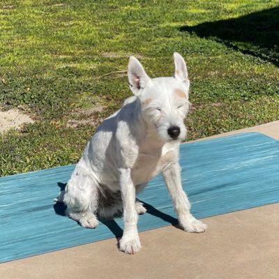 RdQCC's profile picture. #drug_discovery #AI #deep_learning  #antibody_discovery #cryoEM #GPCR