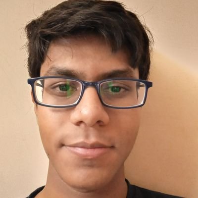 RahilParikh10's profile picture. MS CS (AI) @CSatUSC | Kaggle Notebooks Master  | Former Team Captain @TheTmrt