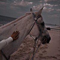 M (@malma14x) 's Twitter Profile