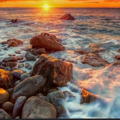 ansalgh06250422's profile picture. 