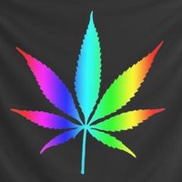 Alien Bott (@alienbott02) Twitter profile photo