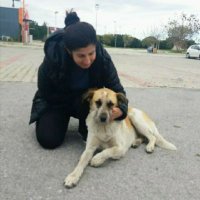 Remziye Demir (@remziye04749882) 's Twitter Profile
