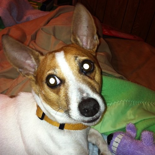 bsgray1's profile picture. 