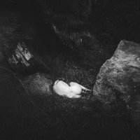 Geoffrey Lemaire Photos (@glemairephotos) 's Twitter Profile