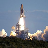 majd thabit (@majd_thabit) 's Twitter Profile