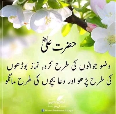 AamirFareedi107's profile picture. 