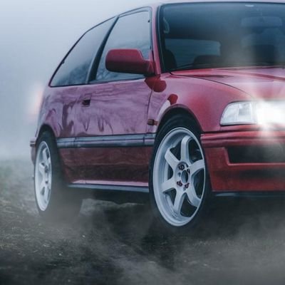 el_mangusta's profile picture. NFT Collector