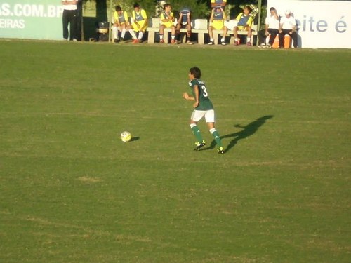 Jogador de Futebol Atuando pela Sociedade Esportiva Palmeiras