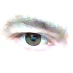 MKerenterff's profile picture. 