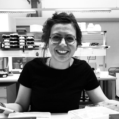 @SyddanskUni @GenomicsUnit
@Dros_EU
alumna @unifr @unil @Hacettepe1967 @UCSanDiego