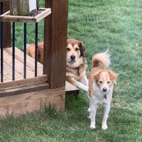 Lennie (@lenny512) 's Twitter Profile