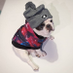 señor doggo 🏴🏴☠️ (@fubuloubu) Twitter profile photo señor doggo 🏴🏴☠️ (@fubuloubu) Twitter profile photo