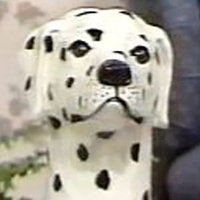 The Porcelain Dalmatian(@PorcDalmatian) 's Twitter Profile Photo