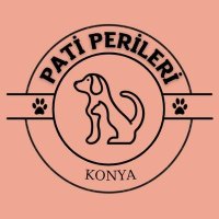 Pati Perileri (@patiperileri) Twitter profile photo