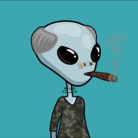 NFT Baby (@nftn00dle) 's Twitter Profile