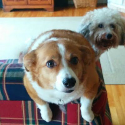 JoelMilefchik's profile picture. 