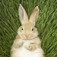 Danny S. (@dannys17277296) 's Twitter Profile