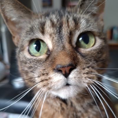 EmmaTho87335874's profile picture. For every negative there WILL be a positive, no matter how small look the positive out of EVERY negative.