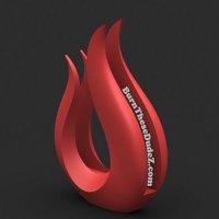 Burn These Dudez NFT’S (@burnthesedudez) 's Twitter Profile